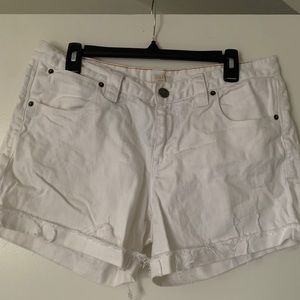 J.Crew White Denim Shorts